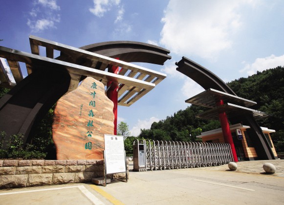 鹿冲关森林公园