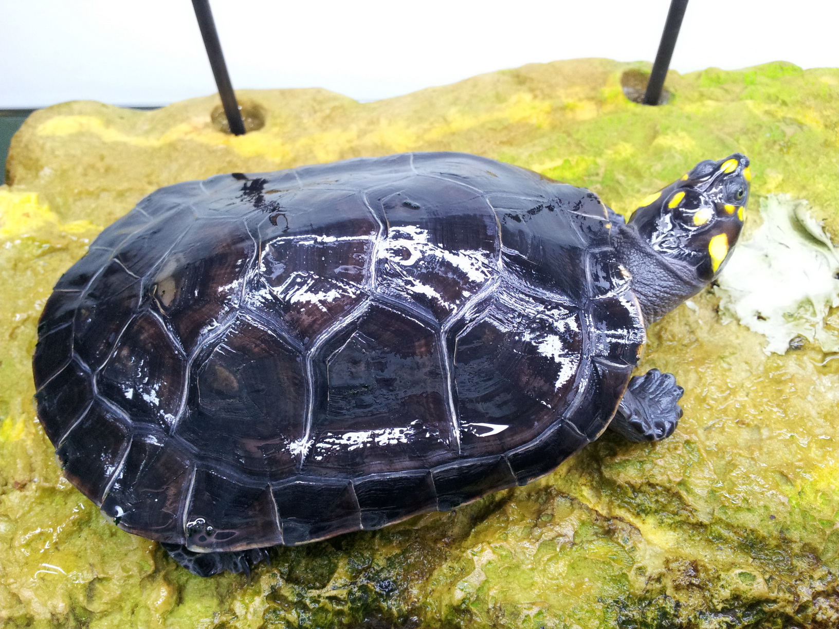 ߱˵ʲô_Ϻ԰ô_Ŵ߹Ľӡ캵ʱ