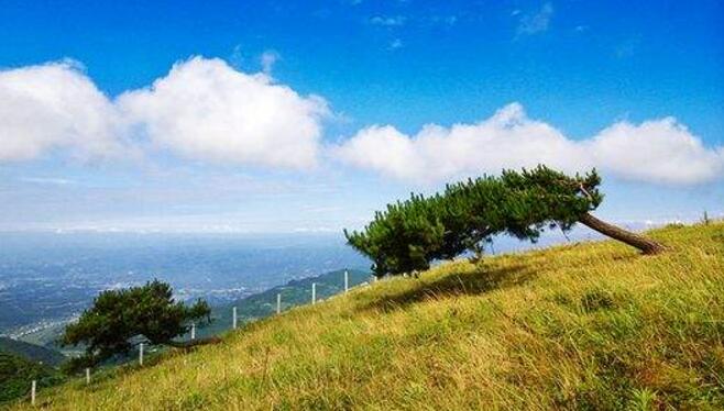 宜昌百里荒生态旅游区