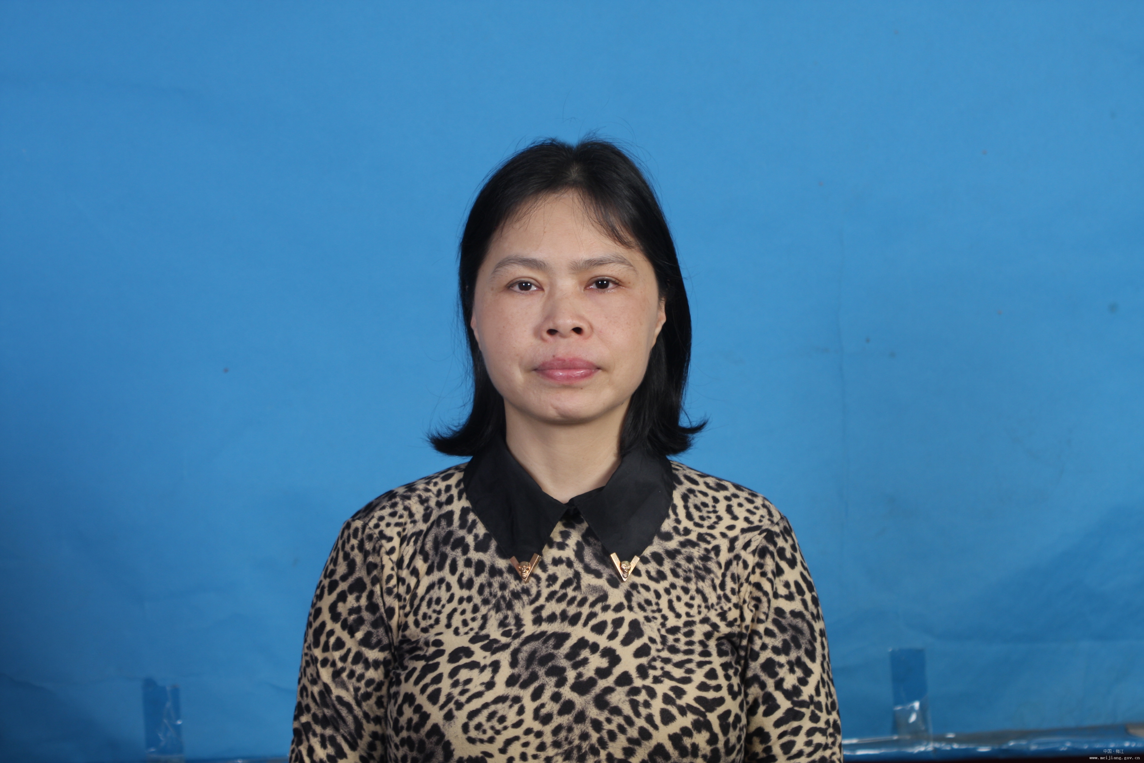 徐莉央视主持人 全网资源