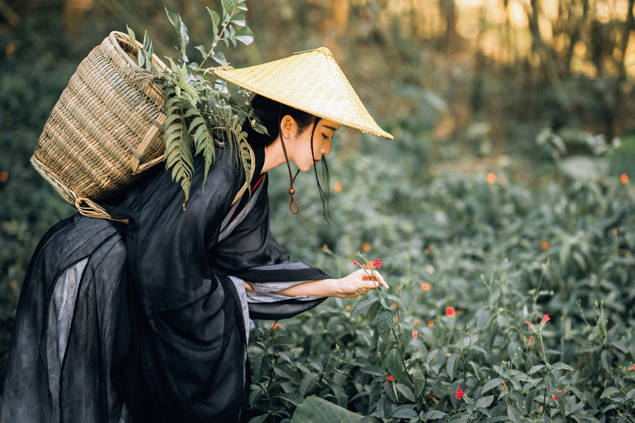 采药