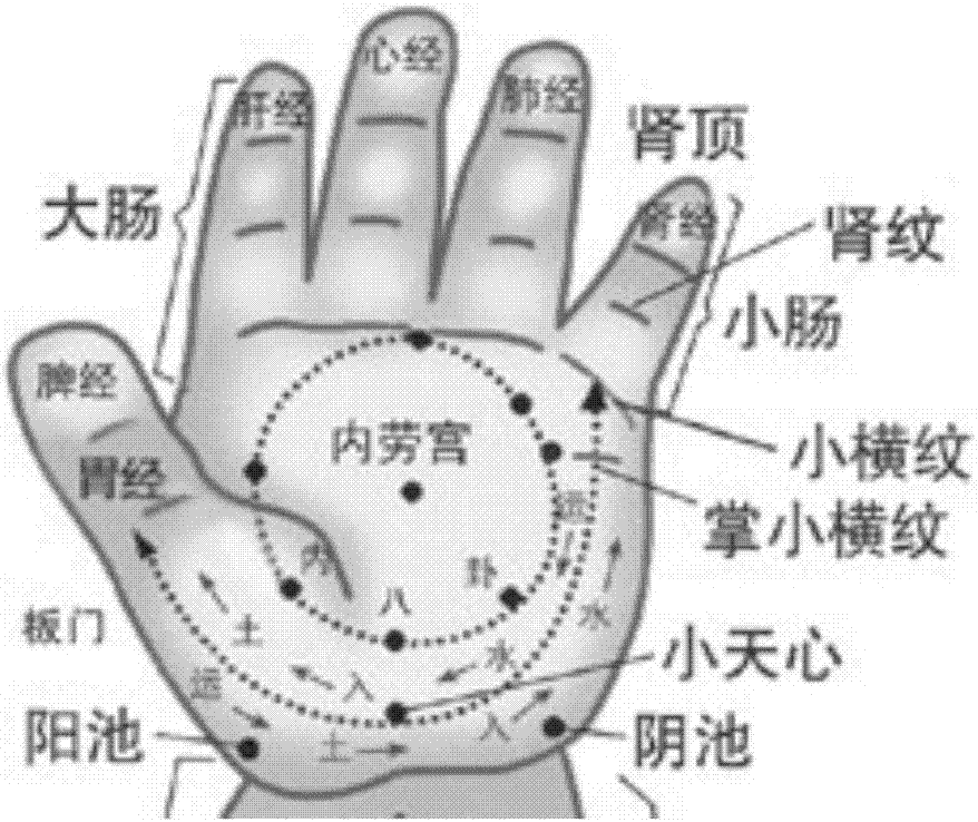  p>人体穴位名.小横纹在掌面食指,中指,无名指和小指掌指关节横纹处.