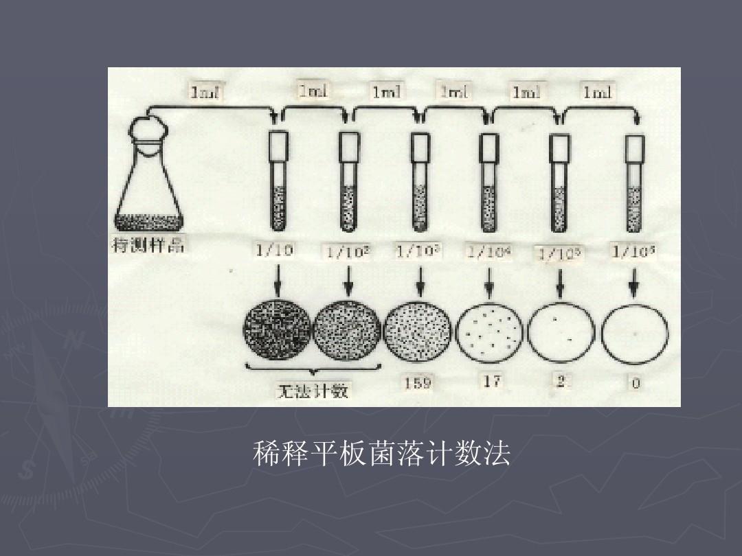 平板菌落计数法