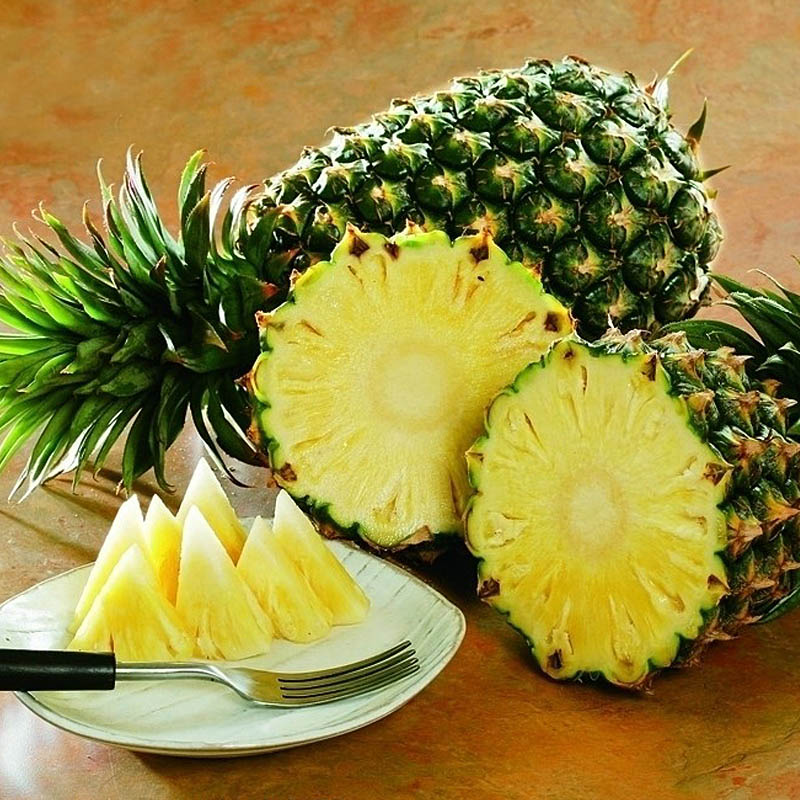 地菠萝