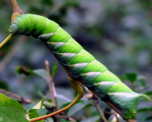  /p></p></a> p>灌云县属温带海洋性季风气候,伴有局部山区小气候,四季分明
