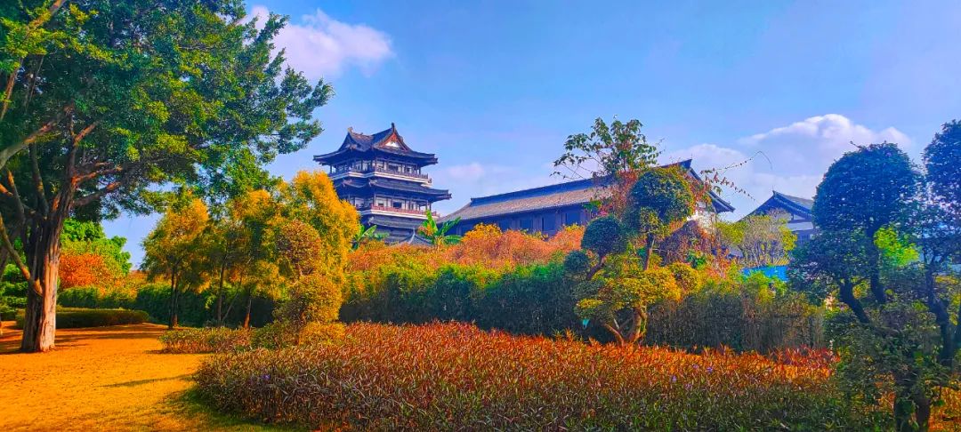 广州市文化馆