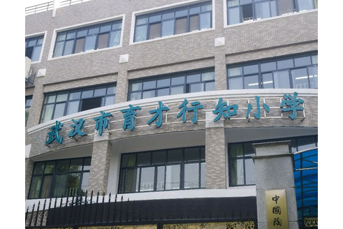 武汉育才小学是私立学校吗(武汉育才学校是公立还是私立)