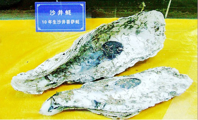 p>沙井蚝文化博物馆—千年蚝坊广场,由深圳市宝安区沙井街道建设