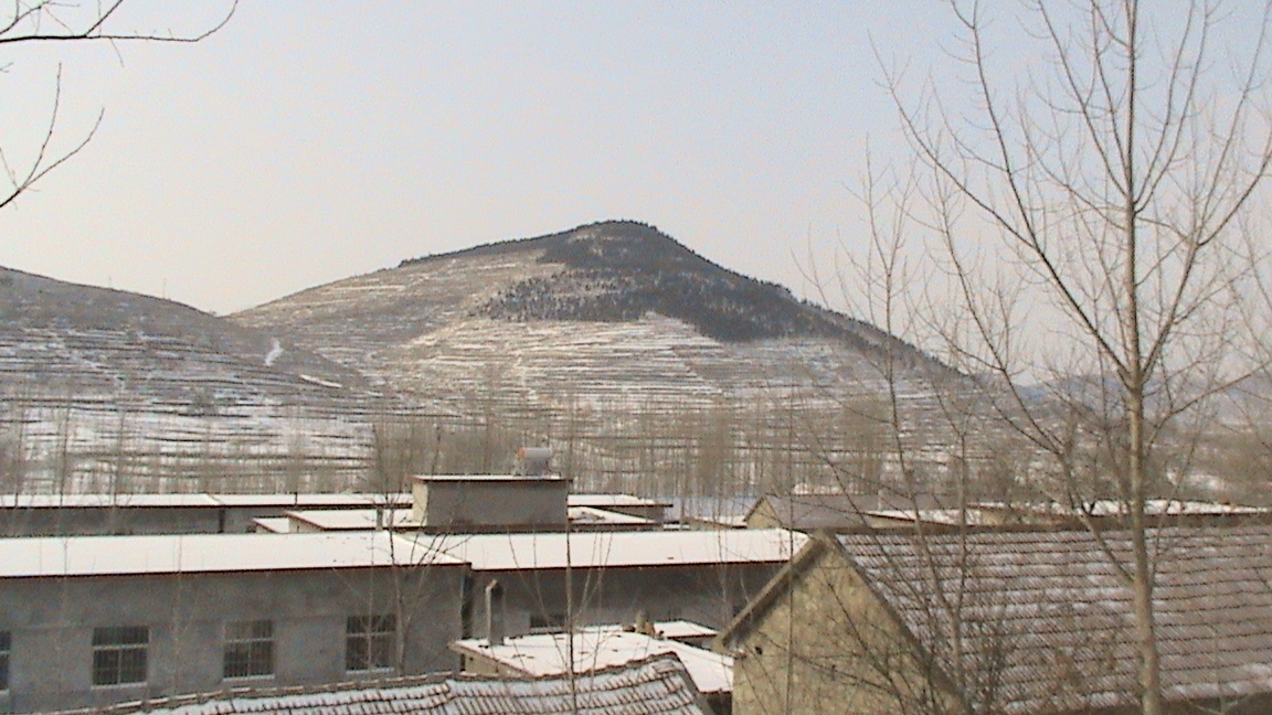 山东费县马庄