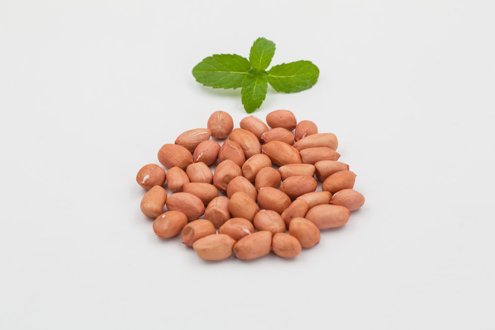 花生仁 全网资源