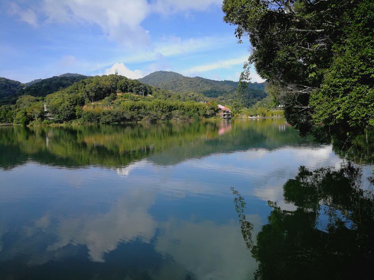 尖峰镇 全网资源