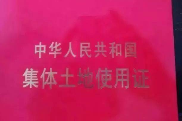 集体土地所有权 全网资源