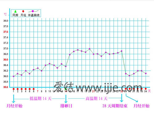 指到了 a href=