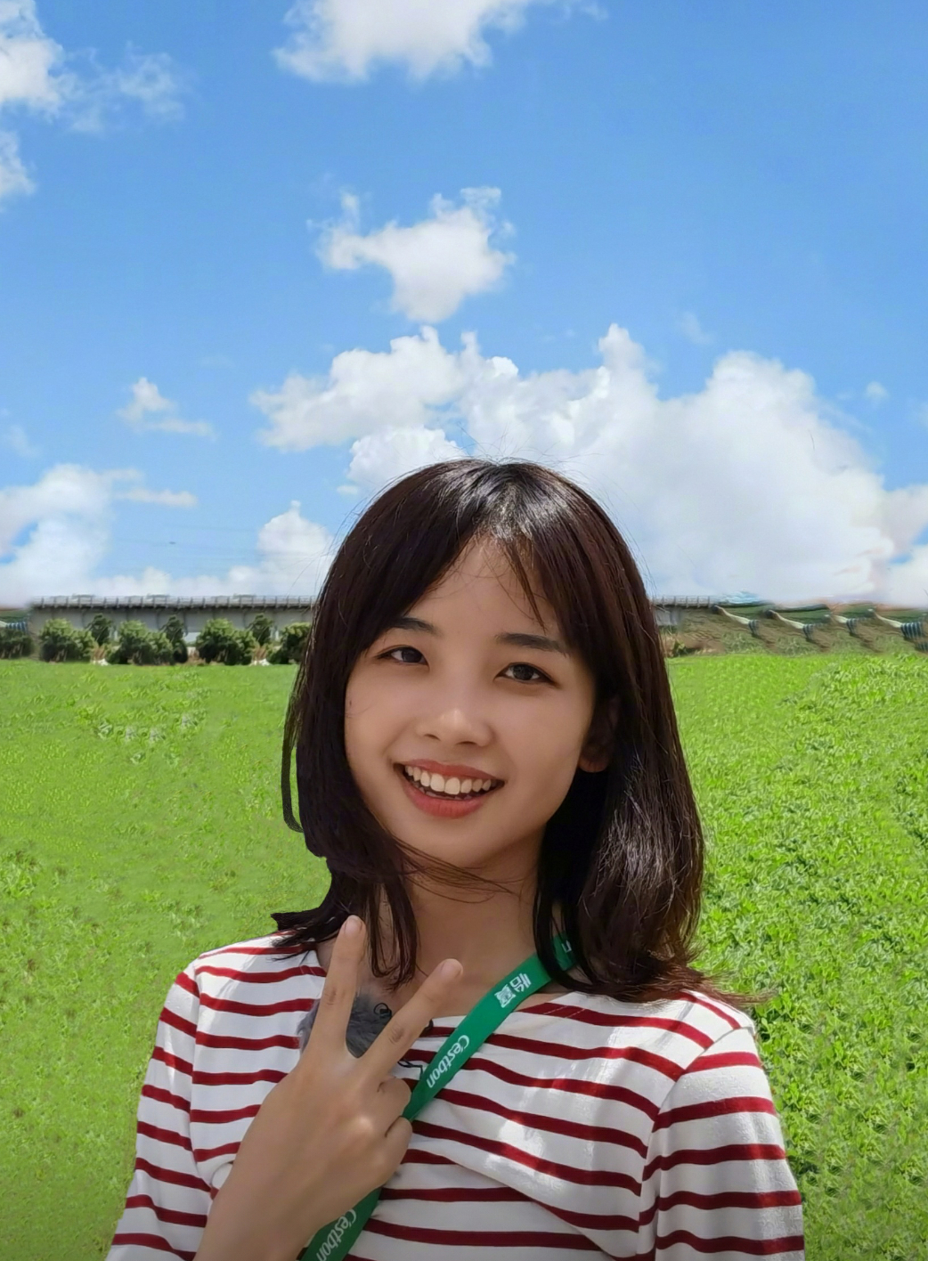  p>王冰冰,出生于吉林省长春市,中国内地女记者,主持人,毕业于吉林