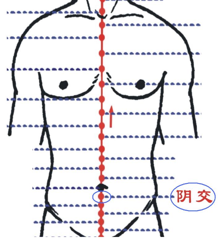 阴交穴