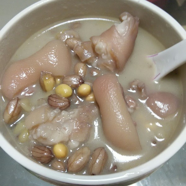 猪脚汤 全网资源