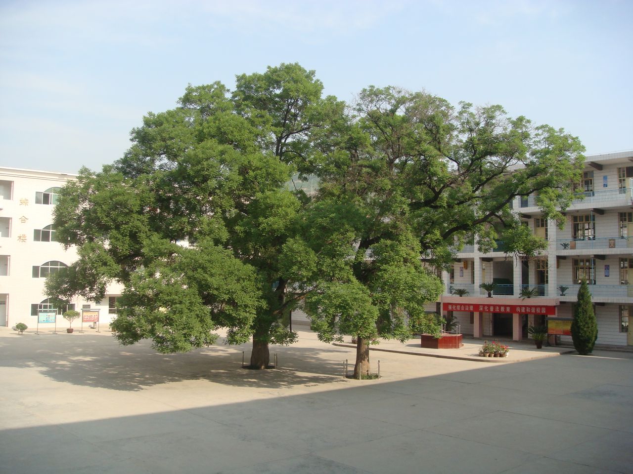 宜川城关小学