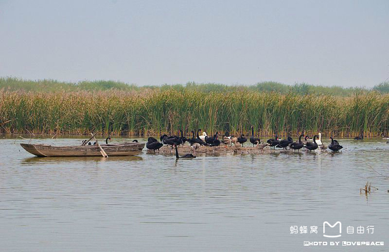 山东省东营市黄河口生态旅游区