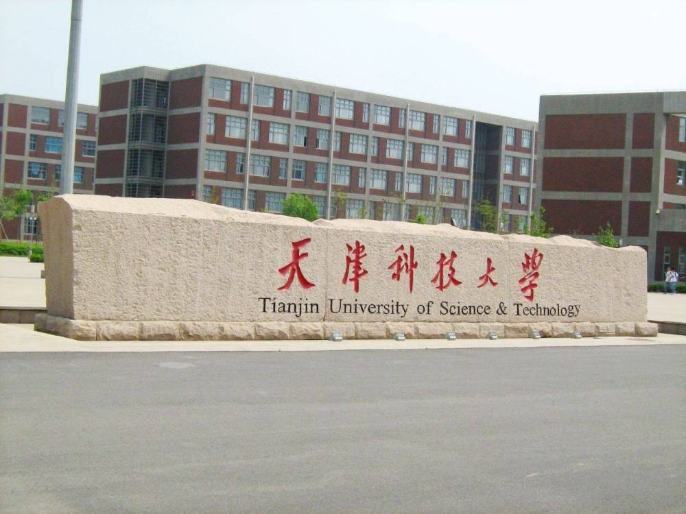 天津科技大学校园网