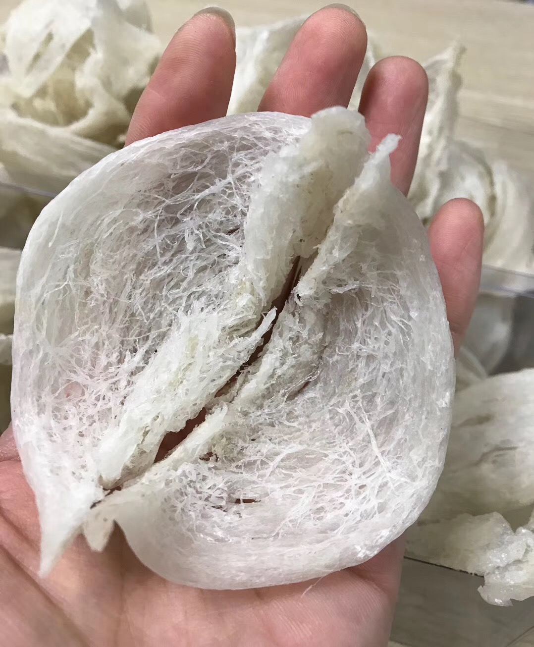天然燕窝