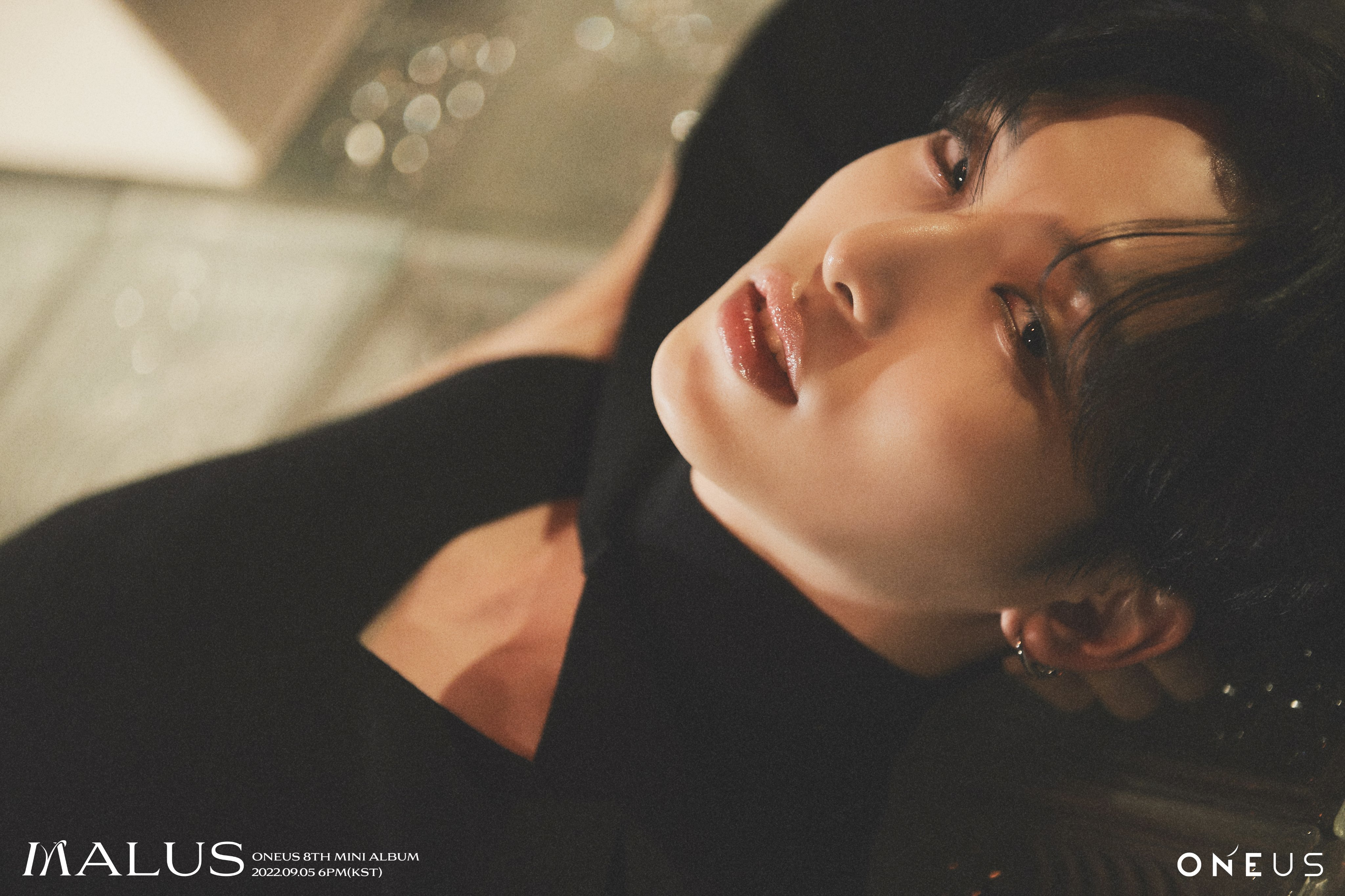 姜成seo 全网资源