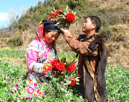 马樱花节
