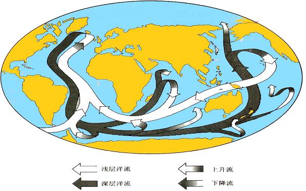 paleo oceanography