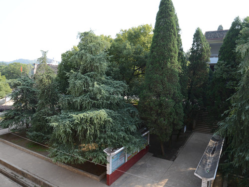 蛇形山镇金溪中学