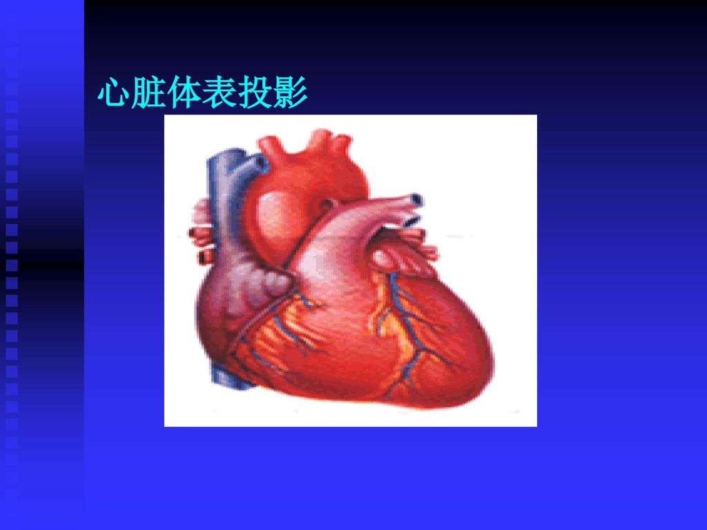 心前区