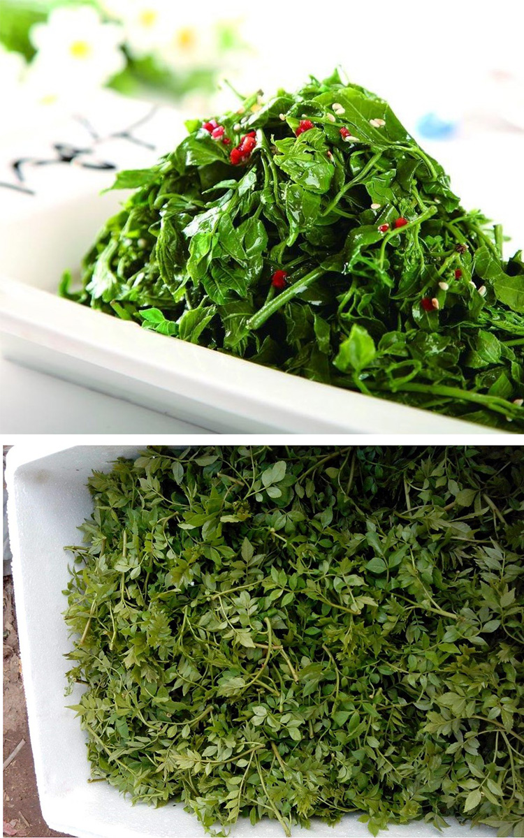 p></p></a>拌花椒叶是一道简单的家常菜,所用材料为嫩 a target=