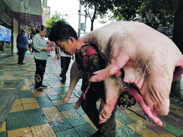 8月6日,一段"背肉汉"的视频在网上走红,视频中的男子佝偻着身子背着 a