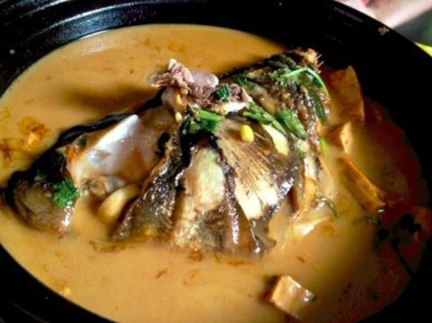 米芽版鱼头炖豆腐