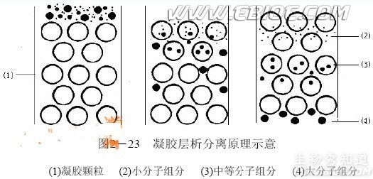  p>凝胶层析又称 a target="_blank" href="/item/分子筛/3200430"