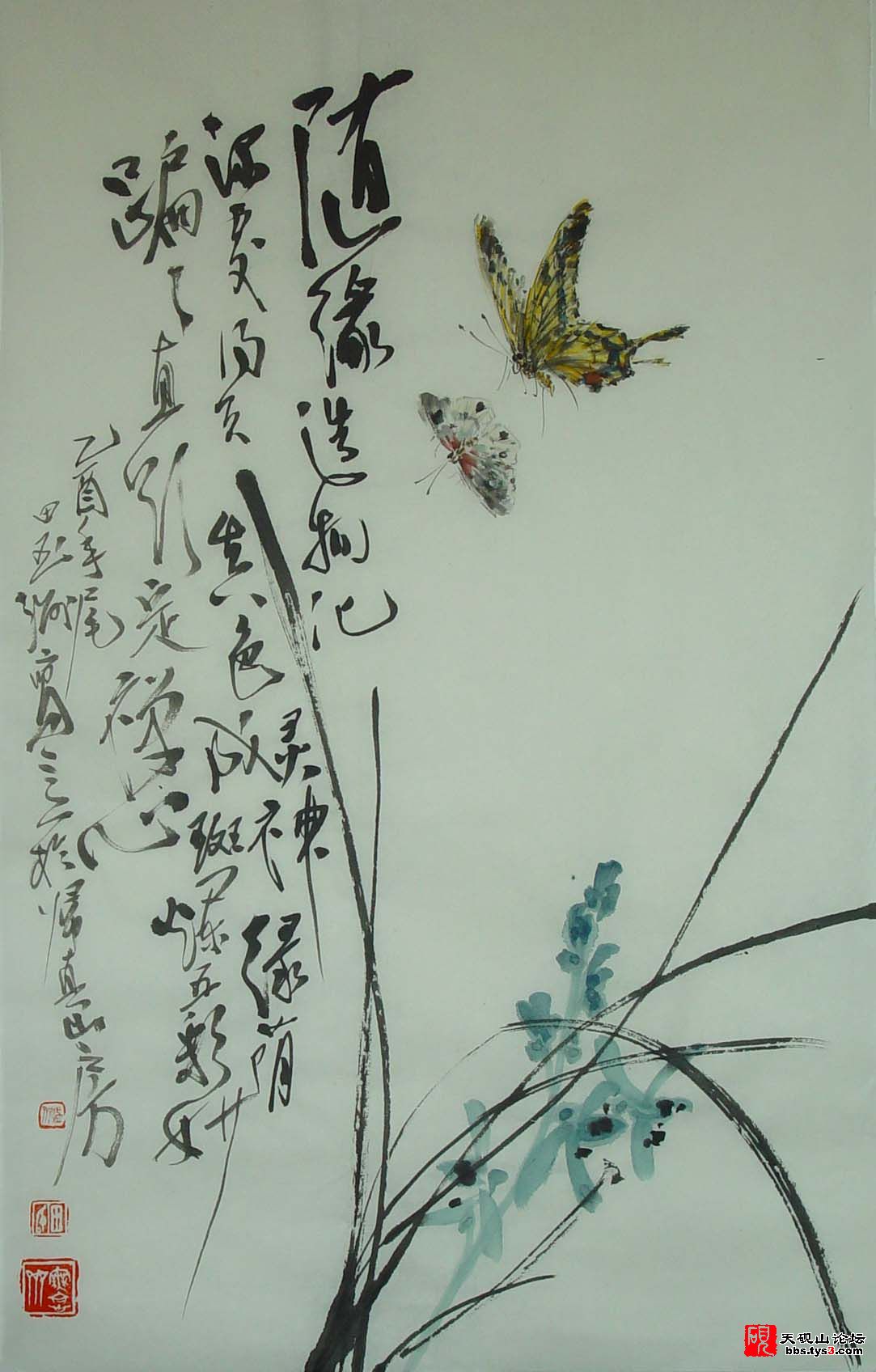 田玉洲