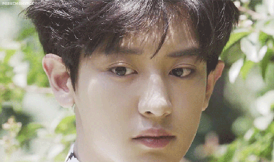  p></p></a>朴灿烈(         ,park chanyeol),1992年11月27日出生于韩国首尔