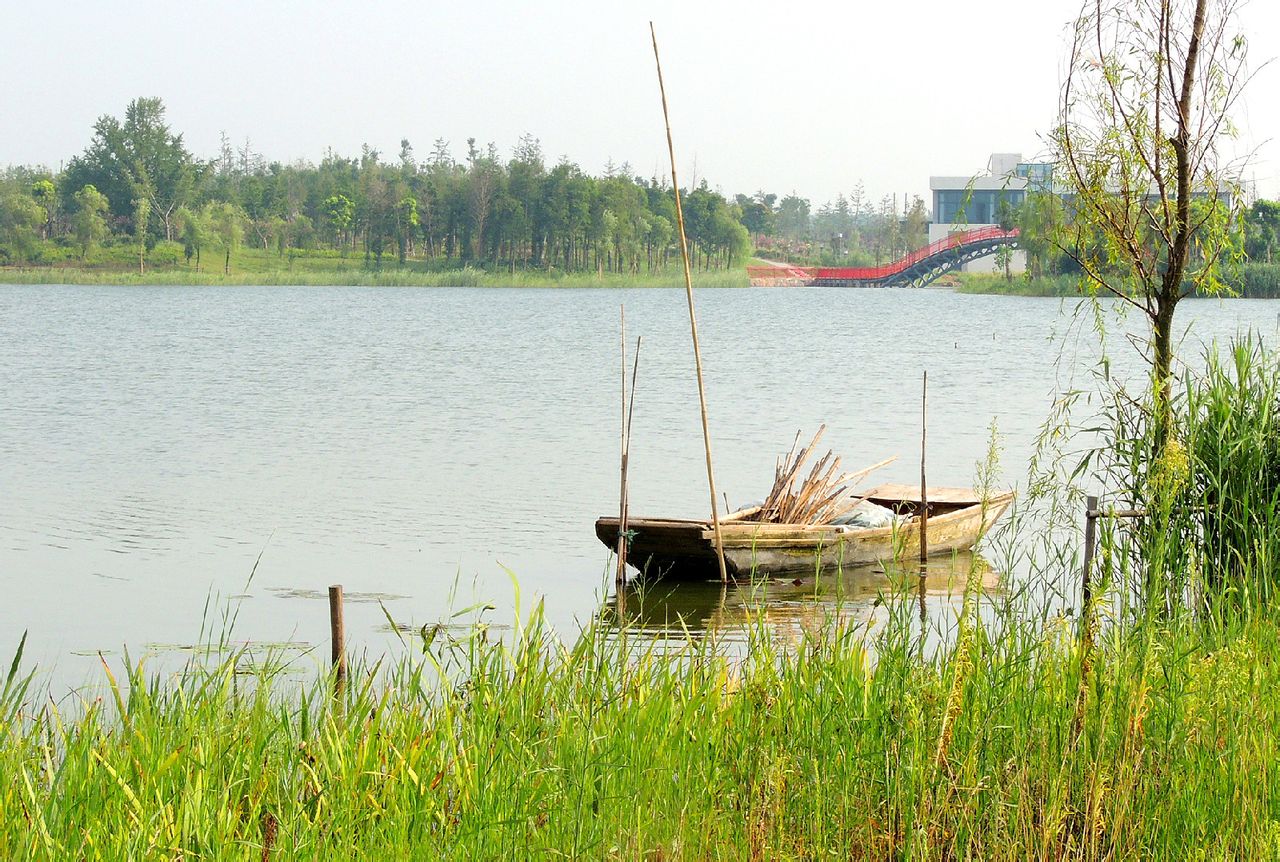 大洋湾湿地公园