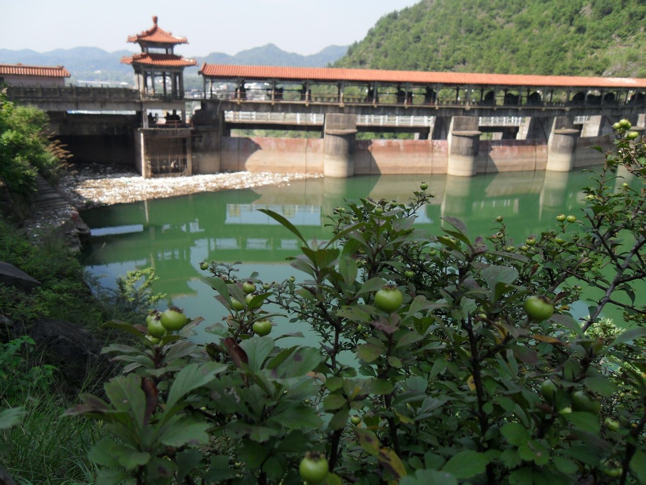 峡口水库