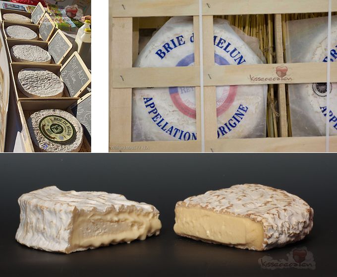 p>布里·莫城干酪(法语:brie de meaux,产于法国,主要是 a href"