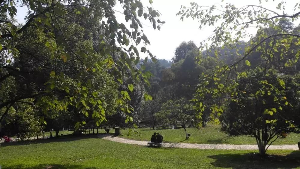 贵阳森林公园