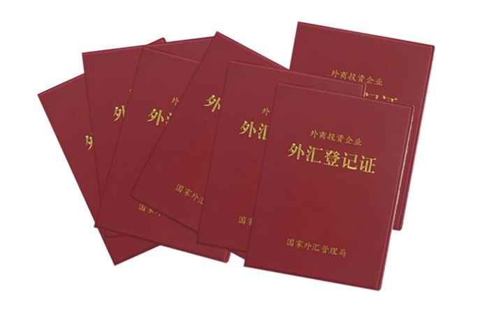 外管局资本项目外汇业务申请表_局长的表局长的笑_管业务必须管安全 措施