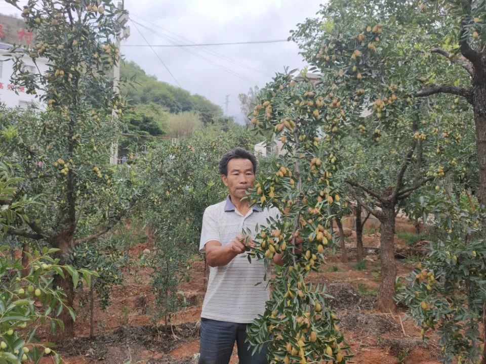 白鹤滩镇