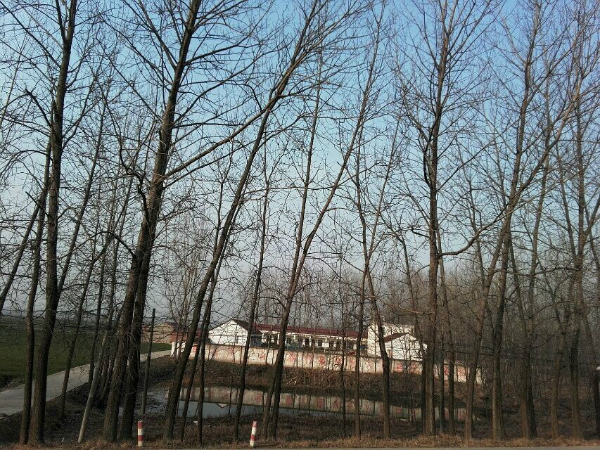 2000年,由于江苏省开展撤乡并镇,撤销肖嘴乡,并入鲍