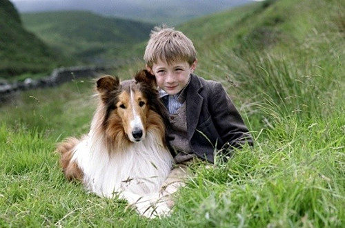 2006灵犬莱西