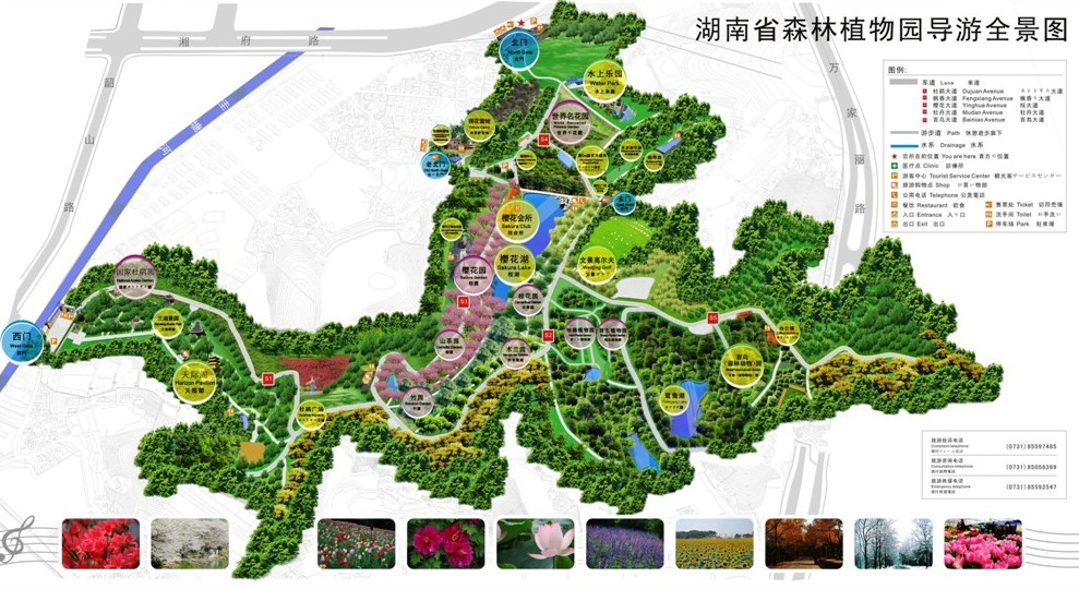 湖南省森林植物园