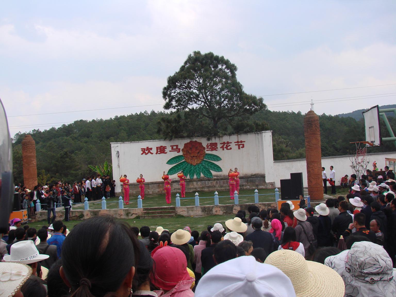 马樱花节