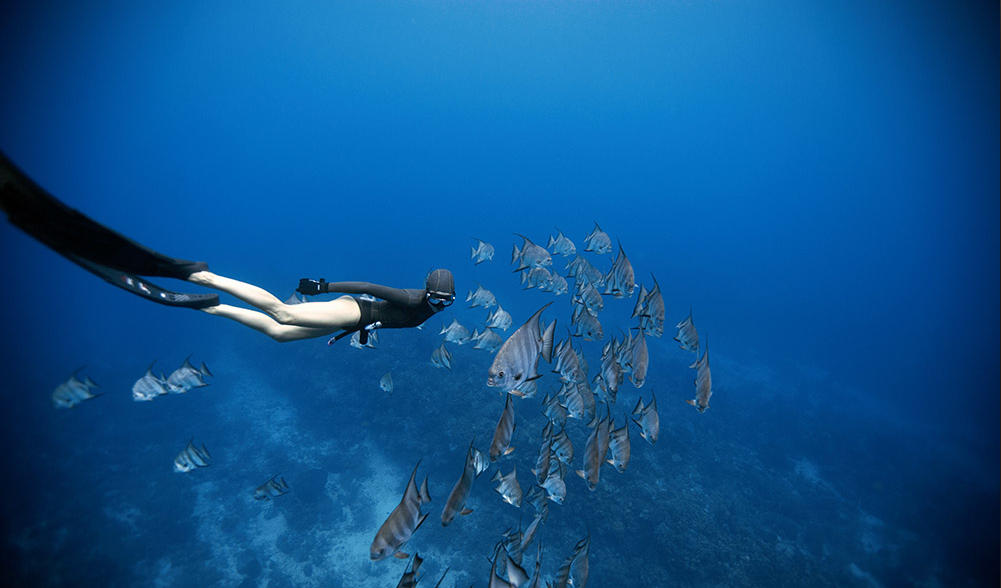 自由潜水包括以娱乐,体验,摄影,狩猎为目的的自由潜水活动,和竞赛性质