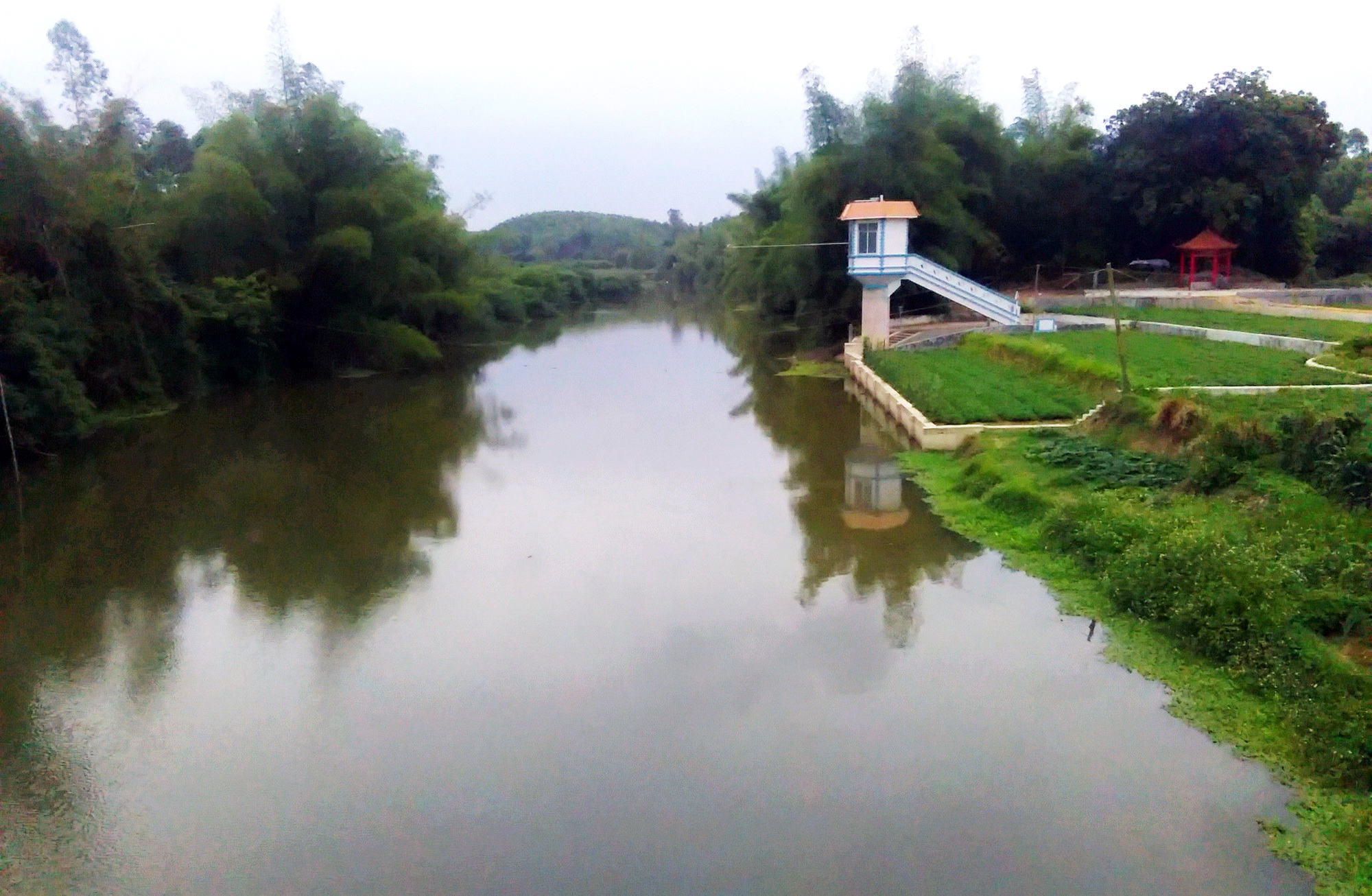 博白县龙潭镇天气预报降水预报