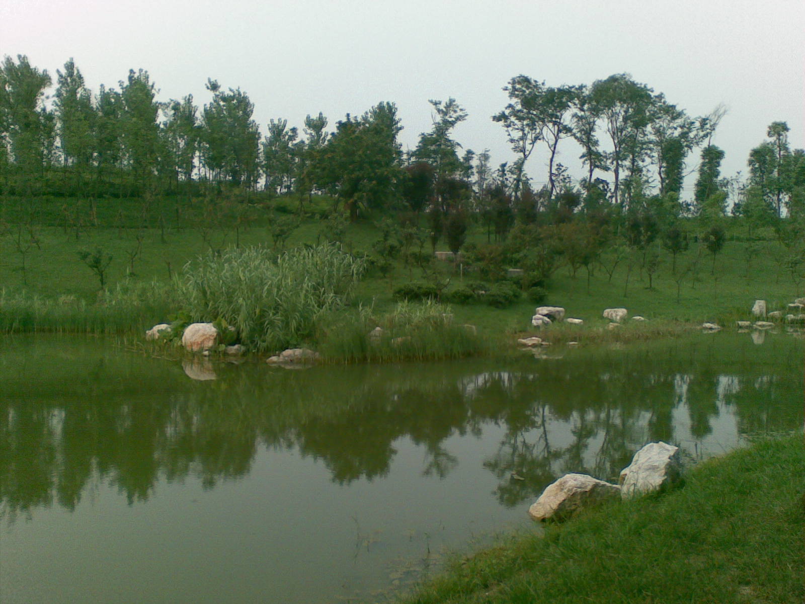 成都锦城公园