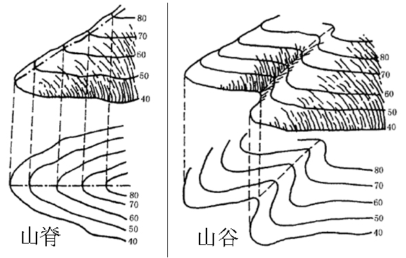 岭组成 全网资源