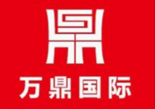 万鼎国际